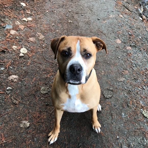 Meet your Posher, Sarah - Picture 1 of 1